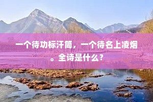 一个待功标汗简，一个待名上凌烟。全诗是什么？