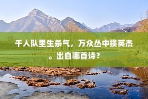 千人队里生杀气，万众丛中损英杰。出自哪首诗？