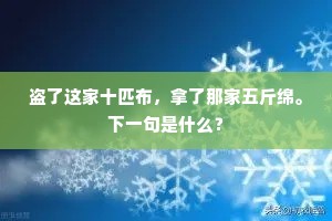 盗了这家十匹布，拿了那家五斤绵。下一句是什么？