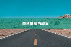 牵丝攀藤的释义