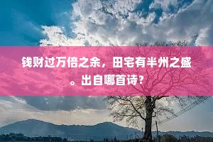 钱财过万倍之余，田宅有半州之盛。出自哪首诗？