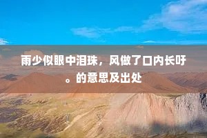 雨少似眼中泪珠，风做了口内长吁。的意思及出处