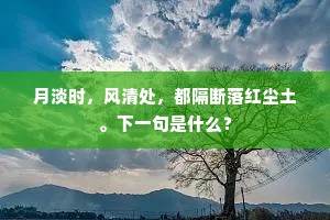 月淡时，风清处，都隔断落红尘土。下一句是什么？