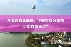 众头领都离寨栅，下去赏红叶黄花。出自哪首诗？