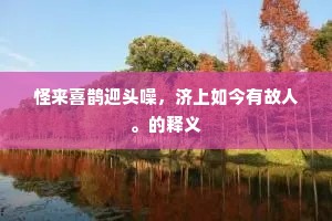 怪来喜鹊迎头噪，济上如今有故人。的释义