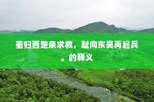 羞归西楚亲求救，耻向东吴再起兵。的释义
