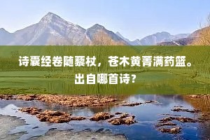 诗囊经卷随藜杖，苍木黄菁满药篮。出自哪首诗？