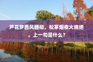 芦花梦西风睡彻，松茅烟夜火烧绝。上一句是什么？