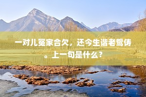 一对儿冤家合欠，还今生谐老鸳俦。上一句是什么？