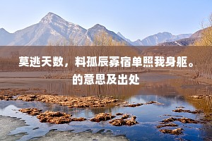 莫逃天数，料孤辰寡宿单照我身躯。的意思及出处