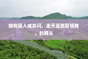 微利驱人成弃闪，走天涯旅邸顿腌。的释义