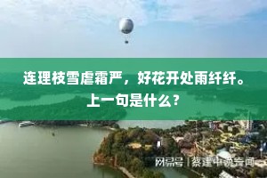 连理枝雪虐霜严，好花开处雨纤纤。上一句是什么？