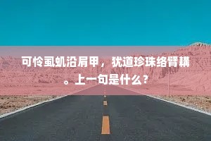 可怜虱虮沿肩甲，犹道珍珠络臂耩。上一句是什么？