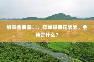 缀黄金菊露，碎绿锦荷花瑟瑟。全诗是什么？
