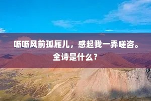 呖呖风前孤雁儿，感起我一弄嗟咨。全诗是什么？