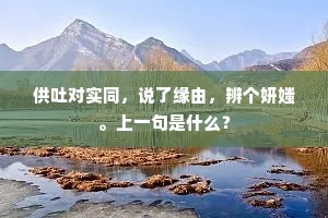 供吐对实同，说了缘由，辨个妍媸。上一句是什么？