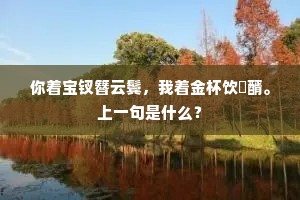 你着宝钗簪云鬓，我着金杯饮醁醑。上一句是什么？