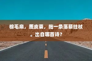 棕毛扇，鹿皮囊，拖一条落藜拄杖。出自哪首诗？