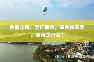 金鼎烹铅，玉炉抽汞，媒合是黄婆。全诗是什么？