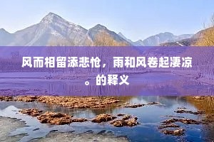 风而相留添悲怆，雨和风卷起凄凉。的释义