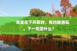 　　海棠花下月明时，有约暗通私。下一句是什么？
