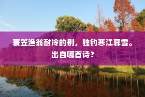 蓑笠渔翁耐冷的别，独钓寒江暮雪。出自哪首诗？