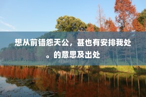 想从前错怨天公，甚也有安排我处。的意思及出处