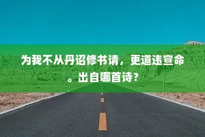 为我不从丹诏修书请，更道违宣命。出自哪首诗？