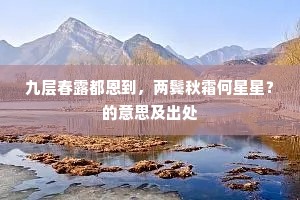 九层春露都恩到，两鬓秋霜何星星？的意思及出处