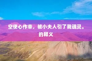 空使心作幸，被小夫人引了我魂灵。的释义