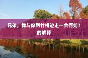 兄弟，我与你到竹桥边走一会何如？的解释