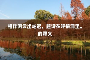 相伴闲云出岫迟，题诗在呼猿洞里。的释义