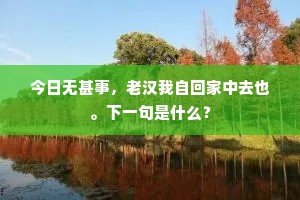 今日无甚事，老汉我自回家中去也。下一句是什么？