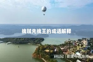 擒贼先擒王的成语解释