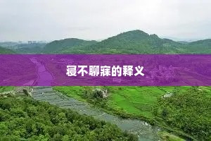 寝不聊寐的释义