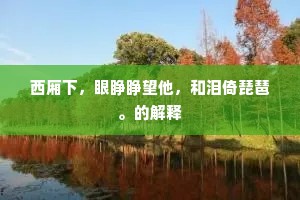 西厢下，眼睁睁望他，和泪倚琵琶。的解释