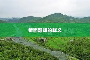 情面难却的释义