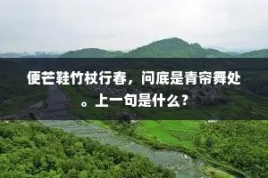 便芒鞋竹杖行春，问底是青帘舞处。上一句是什么？