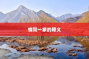 情同一家的释义