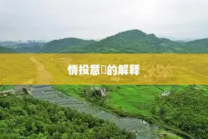 情投意忺的解释