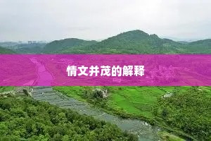情文并茂的解释