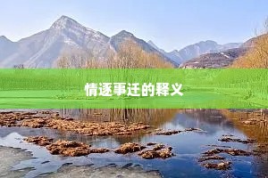 情逐事迁的释义