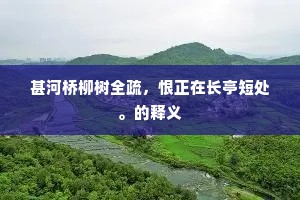 甚河桥柳树全疏，恨正在长亭短处。的释义