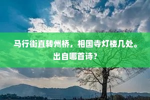 马行街直转州桥，相国寺灯楼几处。出自哪首诗？
