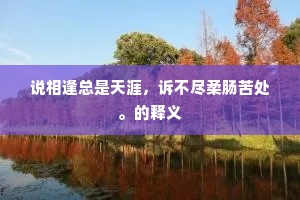说相逢总是天涯，诉不尽柔肠苦处。的释义