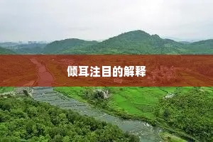 倾耳注目的解释