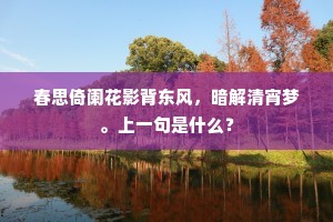 春思倚阑花影背东风，暗解清宵梦。上一句是什么？