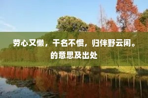 劳心又懒，干名不惯，归伴野云闲。的意思及出处