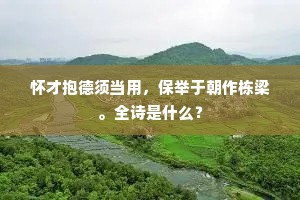 怀才抱德须当用，保举于朝作栋梁。全诗是什么？