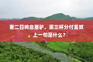 著二日将息蹇驴，索三杯分付奚奴。上一句是什么？